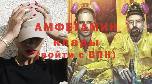 стаф Арсеньев