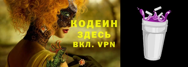 стаф Арсеньев