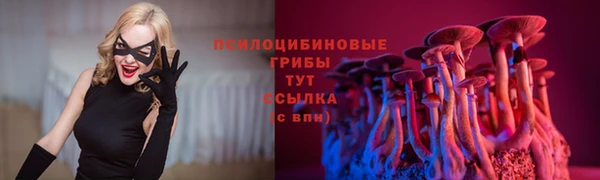 стаф Арсеньев