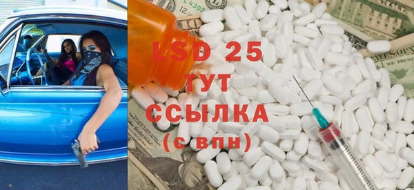 стаф Арсеньев