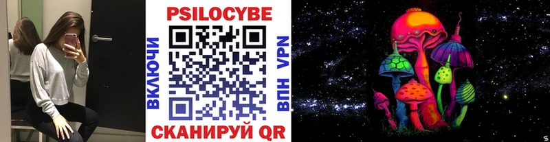 Псилоцибиновые грибы Psilocybine cubensis  Порхов 